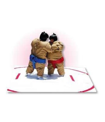 Used Sumo Wrestling